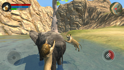 Wild Lion Survival Simulator screenshot 3