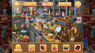 Big Home Hidden Objects screenshot 2