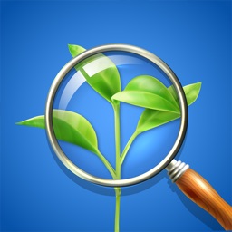 Plant Identifier - Gardening