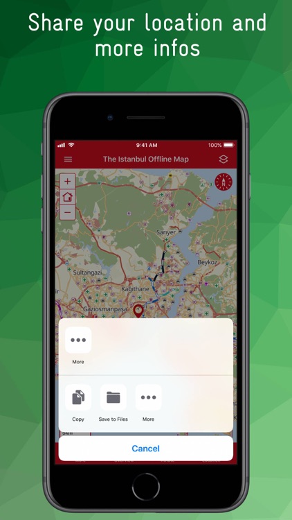 The Istanbul Offline Map screenshot-9