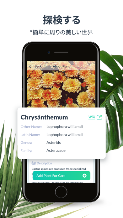 PlantSpot Plant Identificationのおすすめ画像3