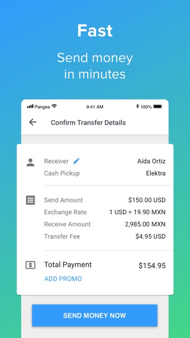 Remmesa Money Transfer screenshot 2