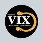 The Vix Treasure Museum Guide