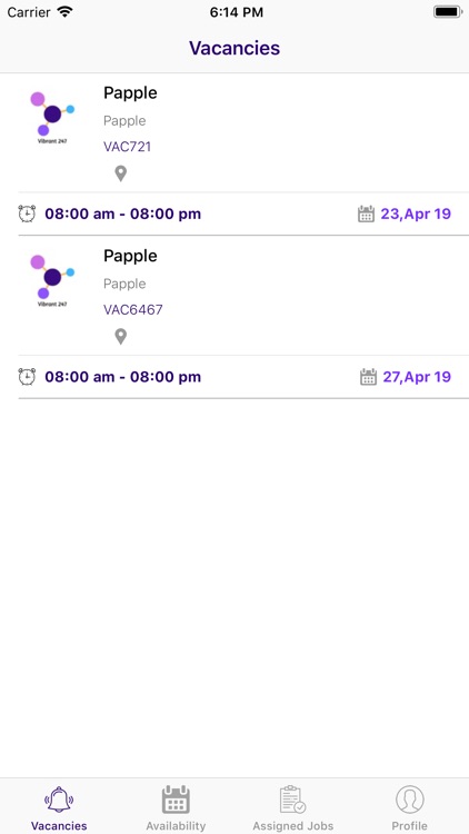 Vibrant 247 Recruitment