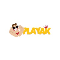 PLAYAK PRO pour PC