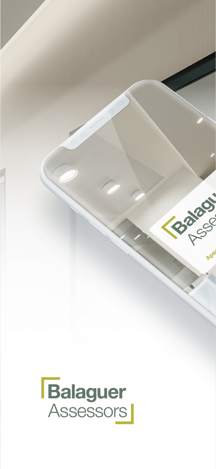 Balaguer Assessors Consultors