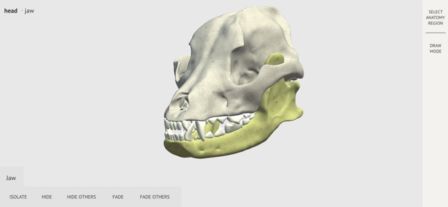 Dog Skeleton 3D Atlas(圖2)-速報App