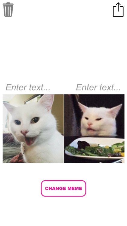 White Cat Meme