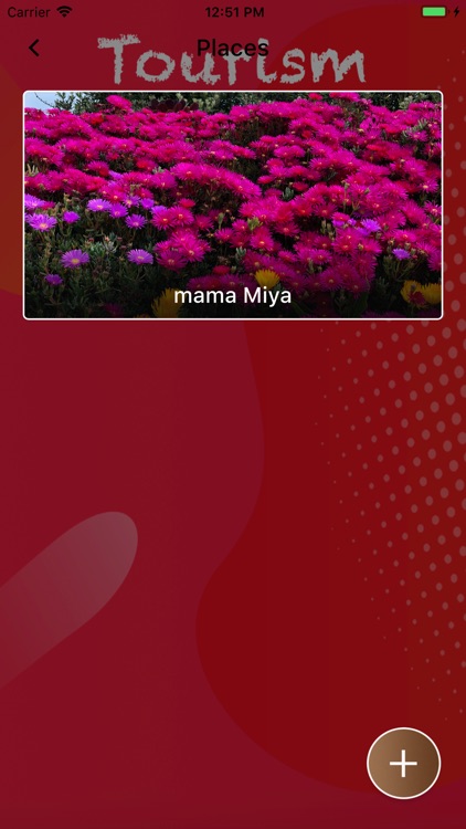 Tourism Management Tool screenshot-4