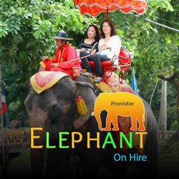 Elephant on Hire Provider