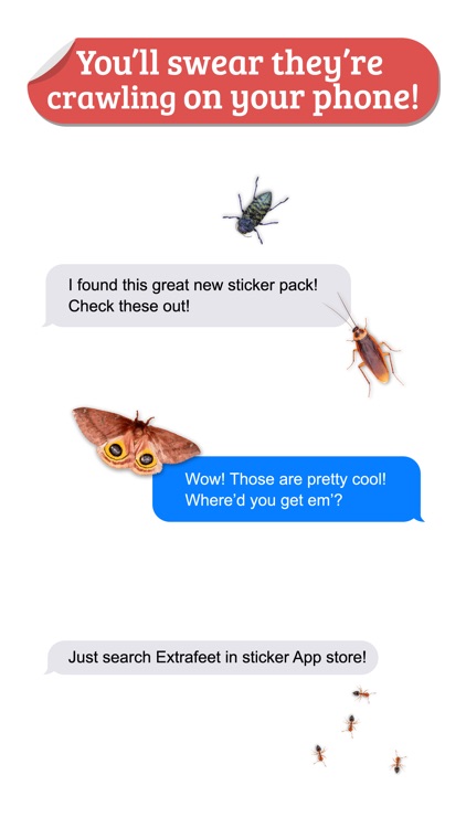 Creepy Crawly