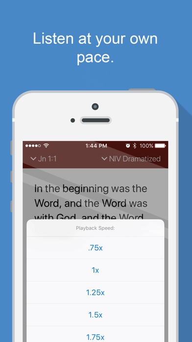 Bible Audio Screenshot