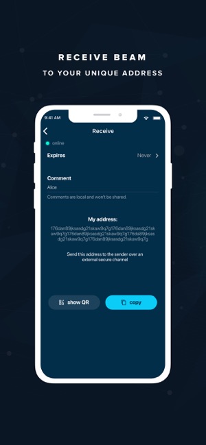 Beam Privacy Wallet(圖3)-速報App