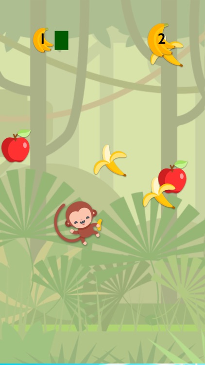 Monkey Life in jungle