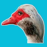 Веселый гусь pour PC