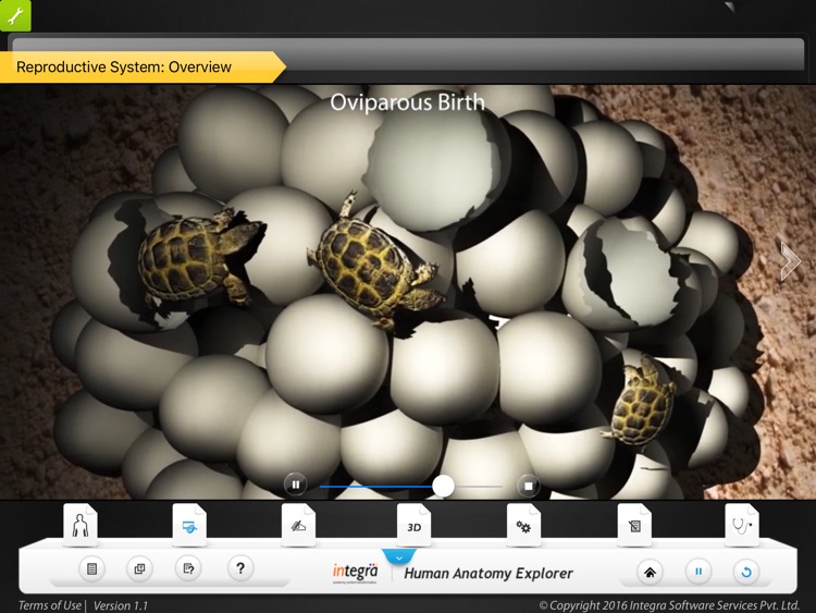 Human Anatomy - Reproductive screenshot-3