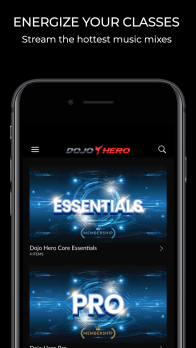 Dojo Hero screenshot 4