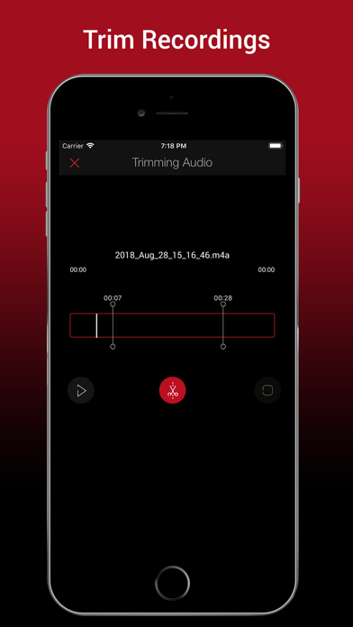 Voice Recorder HD :Audio Memos screenshot 3