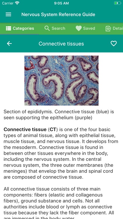 Nervous System Reference Guide screenshot-4