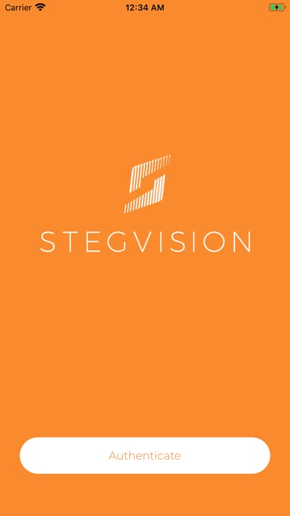 StegVision