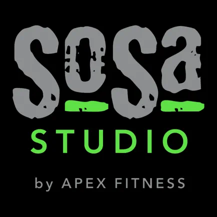 SOSA STUDIO Читы