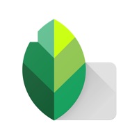 snapseed for pc review