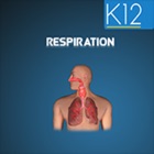 Top 25 Education Apps Like Cellular Respiration Process - Best Alternatives