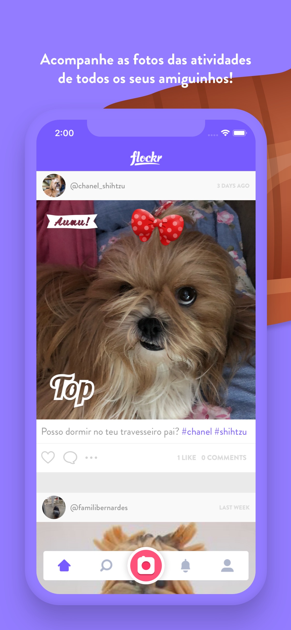 Screenshot do app Flockr