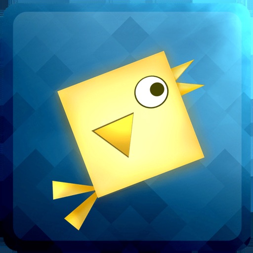 Geometry: Square Birds Geometry: Square Birds