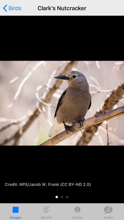 Rocky Mountain NP Field Guide screenshot-5
