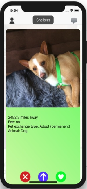 Pet Adopter: adopt/rent/borrow(圖3)-速報App