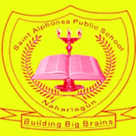 Saint Alphonsa Public School Читы