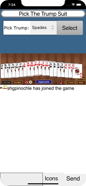 SHGPinochle