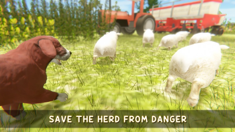 Silly Sheep Run- Farm Dog Game screenshot-4