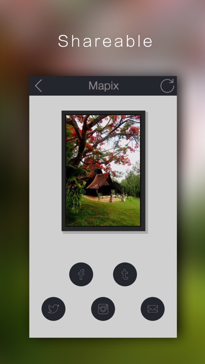 Mapix - Art of Mosaic screenshot-4