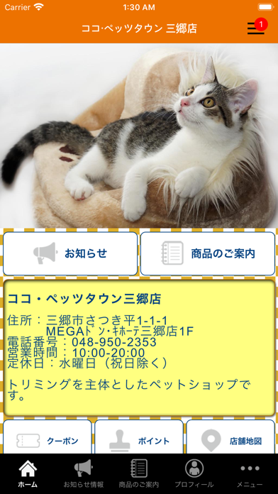 App preview