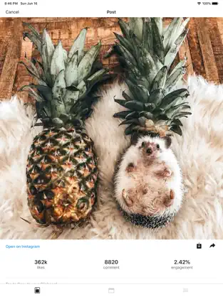Imágen 5 Avance de feed para Instagram iphone