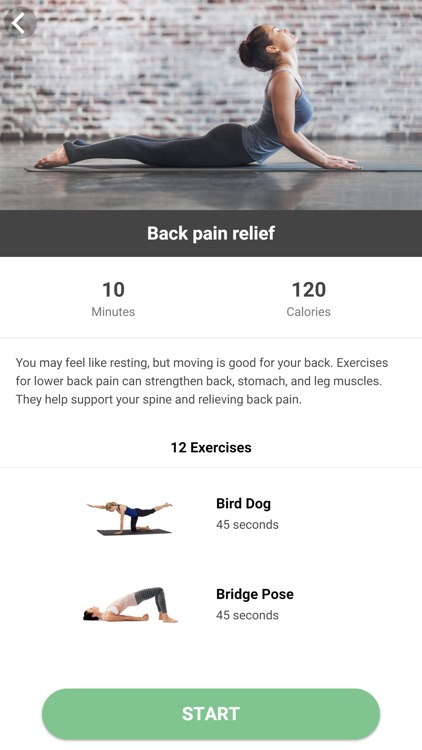 Good Posture for Healthy Spine screenshot-3