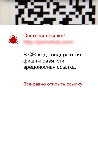 Скриншот из Kaspersky QR Scanner