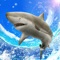 Icon Wild Shark Fishing