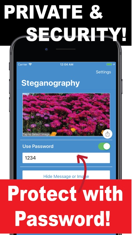 Steganography