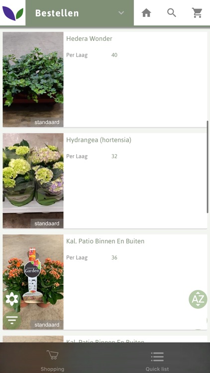 NiftrikShop