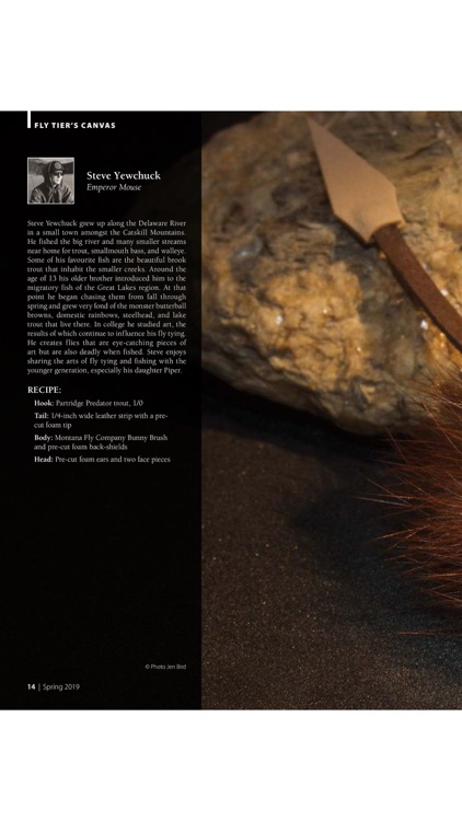 Fly Fusion Magazine screenshot-7