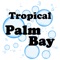 Keep your car clean with an unlimited wash plan from Tropical Palm Bay Car Wash