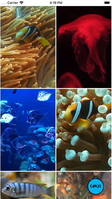 Aquarium Live Wallpapers screenshot 3