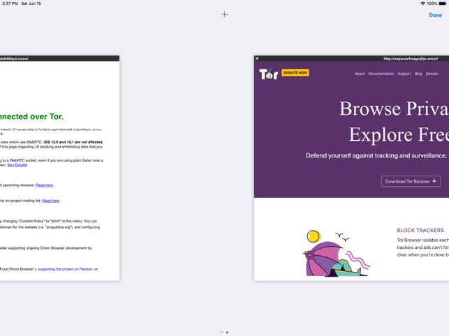 Тор браузер на айпад hudra tor pluggable transport browser попасть на гидру