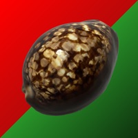 Cowry Dice sur PC