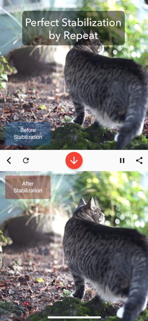 Deshake Video - Stabilization(圖4)-速報App