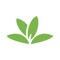 Pl@ntNet is an application that allows you to identify plants simply by photographing them with your smartphone