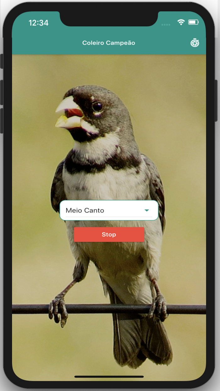 Coleiro Fibra Campeão